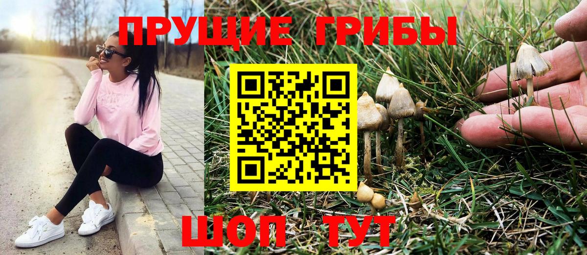 Псилоцибиновые грибы Magic Shrooms  Вход с VPN  Сочи  Галлюциногенные грибы мухоморы 